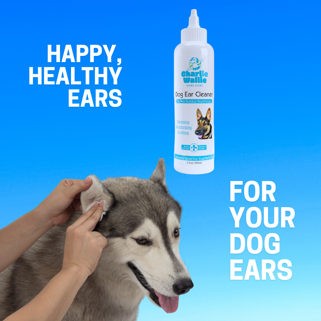 Charlie Wallie Ear Cleaner